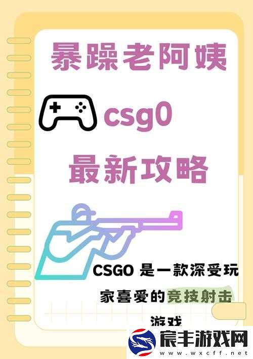 暴躁老阿姨 CSGO 攻略大全：让你快速成为游戏高手的指南