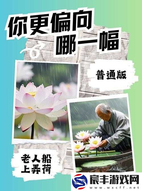 老人船上弄雨荷第十二集跚钢：雨中的凄美与坚韧