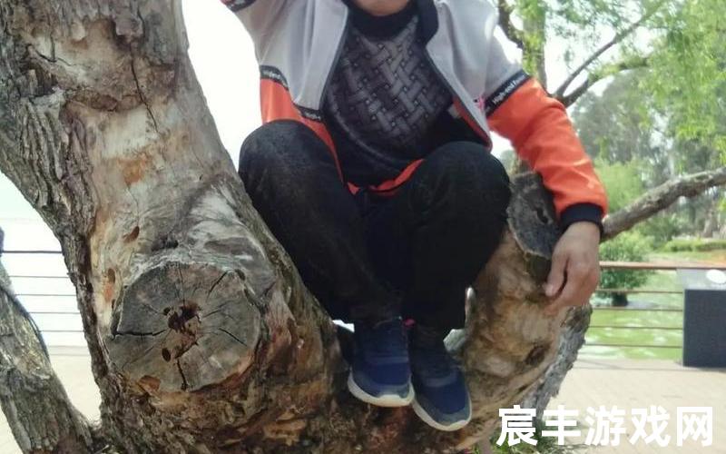 爱拍鹦哥 鹦哥的作品原声
