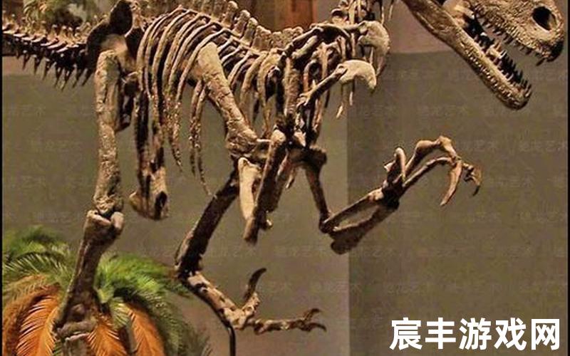 化石迅猛龙,化石迅猛龙刷新率