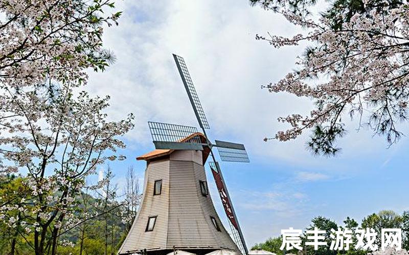 风沙樱花风樱花风车
