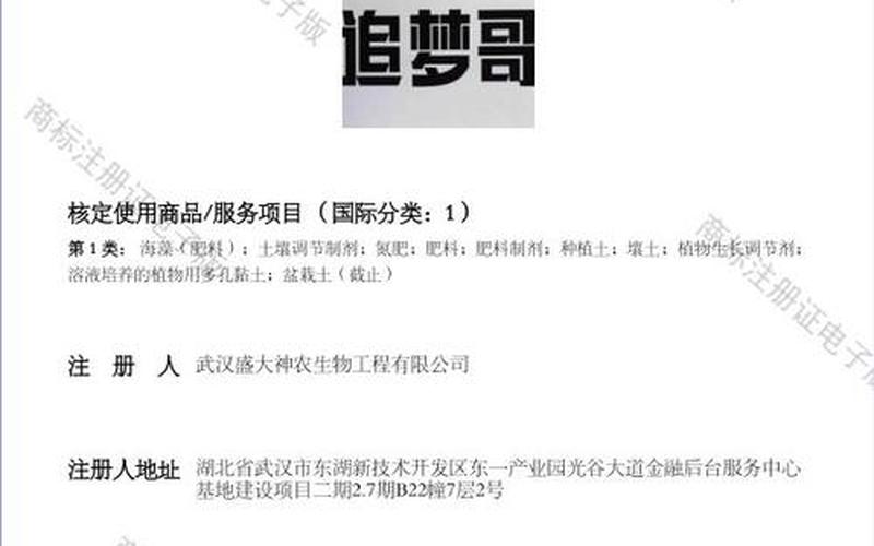 盛大账号注册—盛大账号注册官网