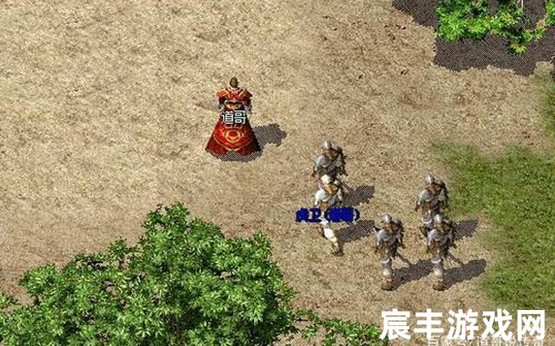 虎威传奇私服_传奇 虎卫