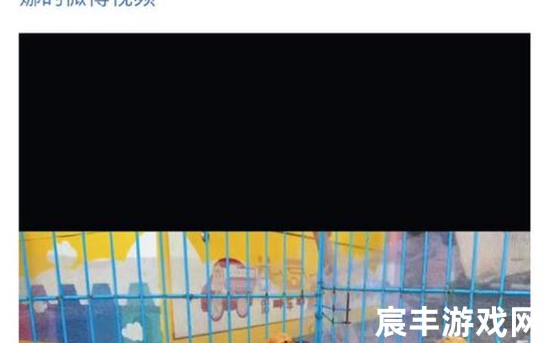 农场小鸡(农场小鸡去哪了)