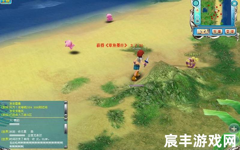 海盗王私服、海盗王网络游戏