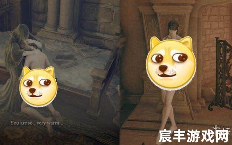 好感度越高衣服越少的游戏,好感度越高衣服越少的游戏合集