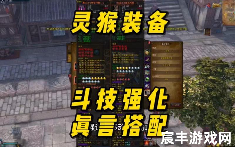 斗战神装备精炼(斗战神装备精炼表)