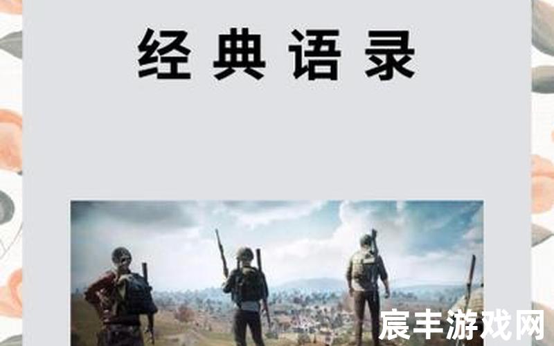 夫妻刺激战场经典语录,夫妻精彩