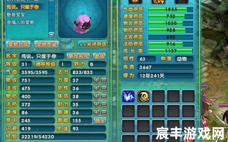 诛仙庙会隐藏任务、诛仙庙会隐藏任务小环，梦幻诛仙卡99,梦幻诛仙卡69