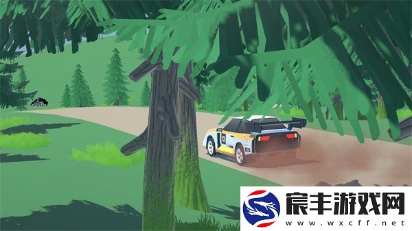 N3拉力赛