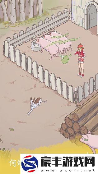我的女朋友不见了