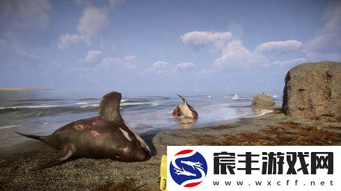 森林之子