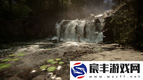 森林之子